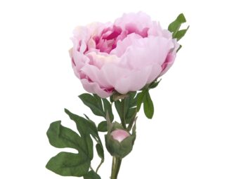EUROPALMS Peony Branch classic, artificial plant, pink, 80cm