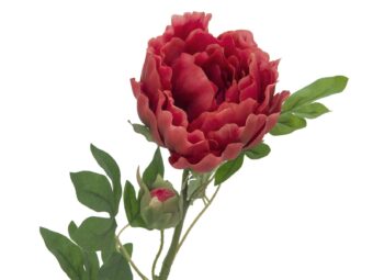 EUROPALMS Peony Branch classic, artificial plant, magenta, 80cm
