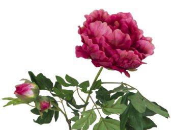 EUROPALMS Peony Branch premium, artificial plant, magenta, 100cm