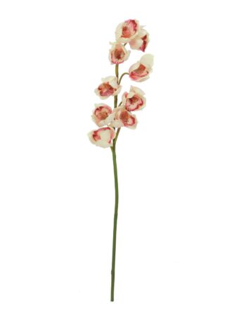 EUROPALMS Cymbidium branch, artificial, creme-pink, 90cm