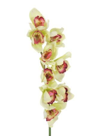 EUROPALMS Cymbidium branch, artificial, green, 90cm