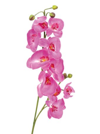 EUROPALMS Orchid branch, artificial, purple, 100cm