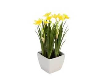 EUROPALMS Daffodil, artificial plant, 23cm
