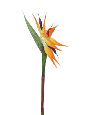 EUROPALMS Bird-of-paradise Spray, artificial plant, orange, 95cm