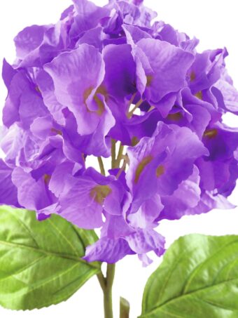 EUROPALMS Hydragena spray, artificial, lavender, 76cm