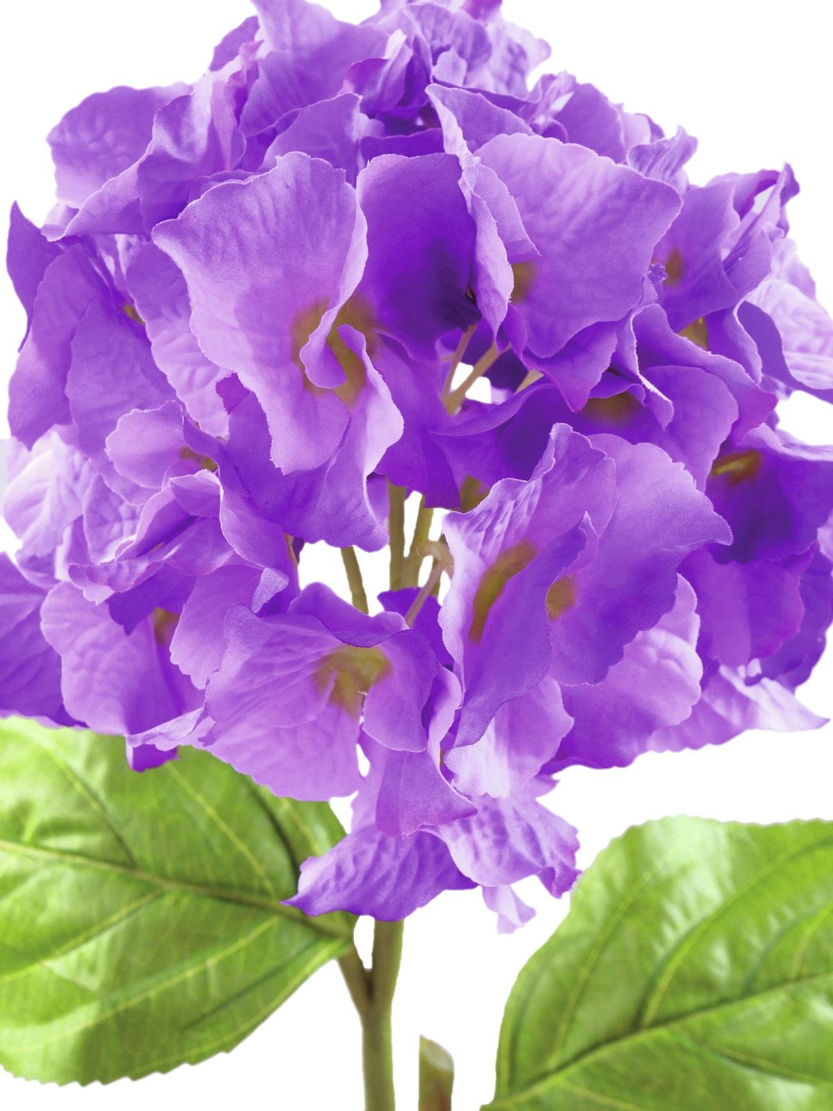 EUROPALMS Hydragena spray, artificial, lavender, 76cm - Afbeelding 2