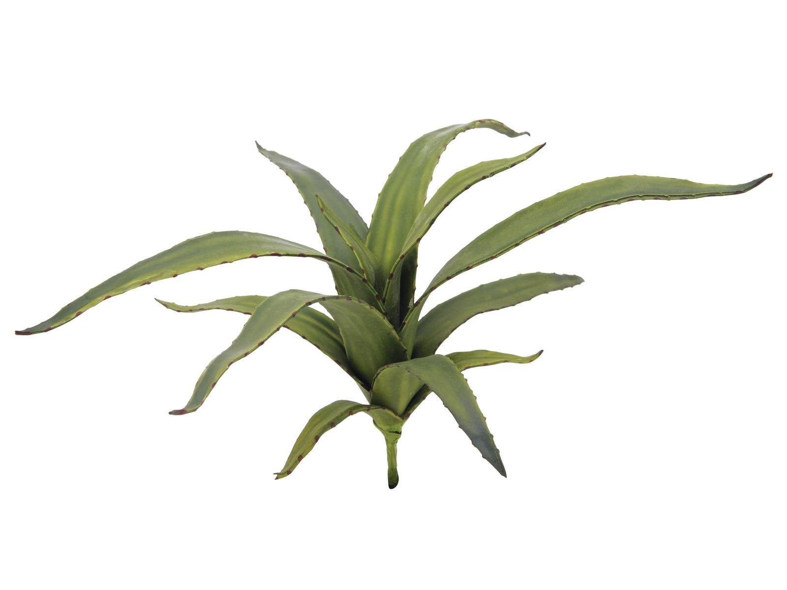 EUROPALMS Aloe (EVA), artificial, green, 66cm