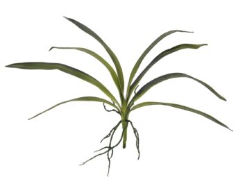 EUROPALMS Orchid leaf (EVA), arificial, green, 45cm