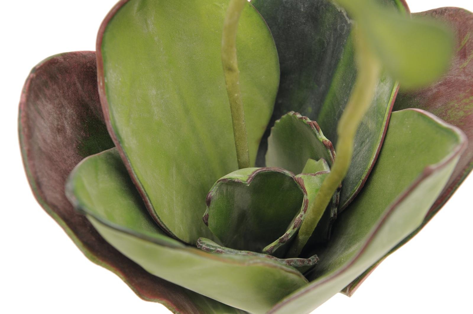 EUROPALMS Water Lily (EVA),artificial plant, closed, green, 45cm - Afbeelding 2