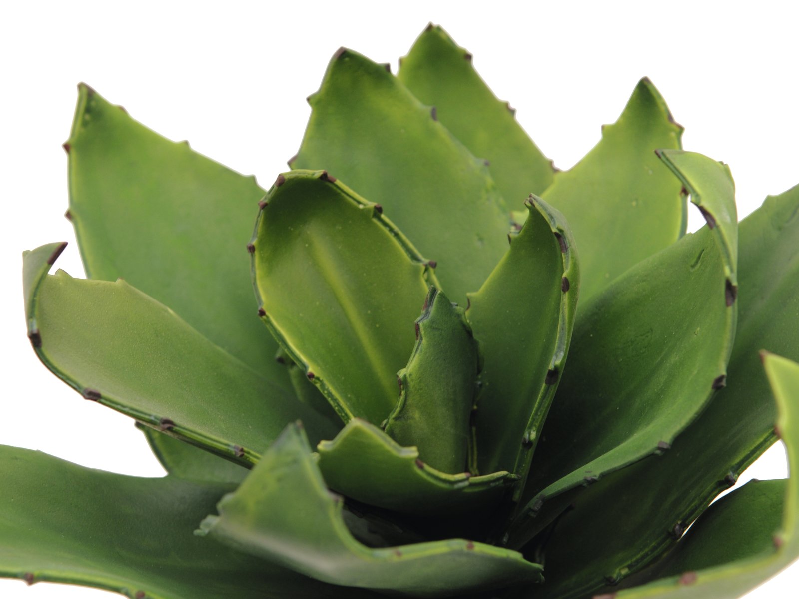 EUROPALMS Agave (EVA), artificial, green, 35cm