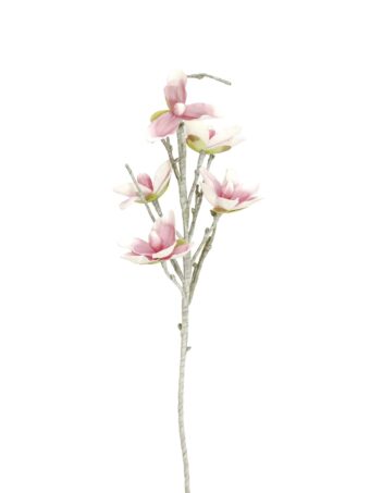 EUROPALMS Magnolia branch (EVA), artificial, white pink