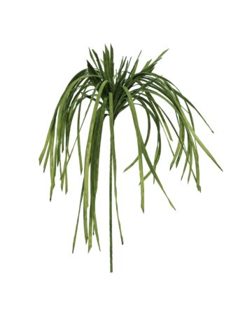 EUROPALMS Sea grass (EVA), artificial, green