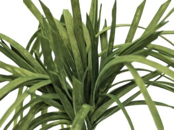 EUROPALMS Sea grass (EVA), artificial, green