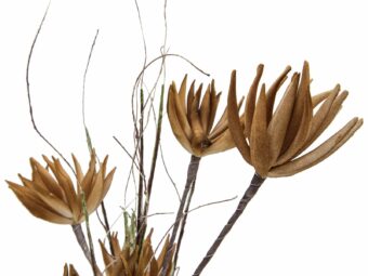 EUROPALMS Artichoke Branch (EVA), artificial, beige, 100cm