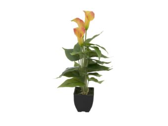 EUROPALMS Mini Calla, artificial plant, yellow-orange, 43cm