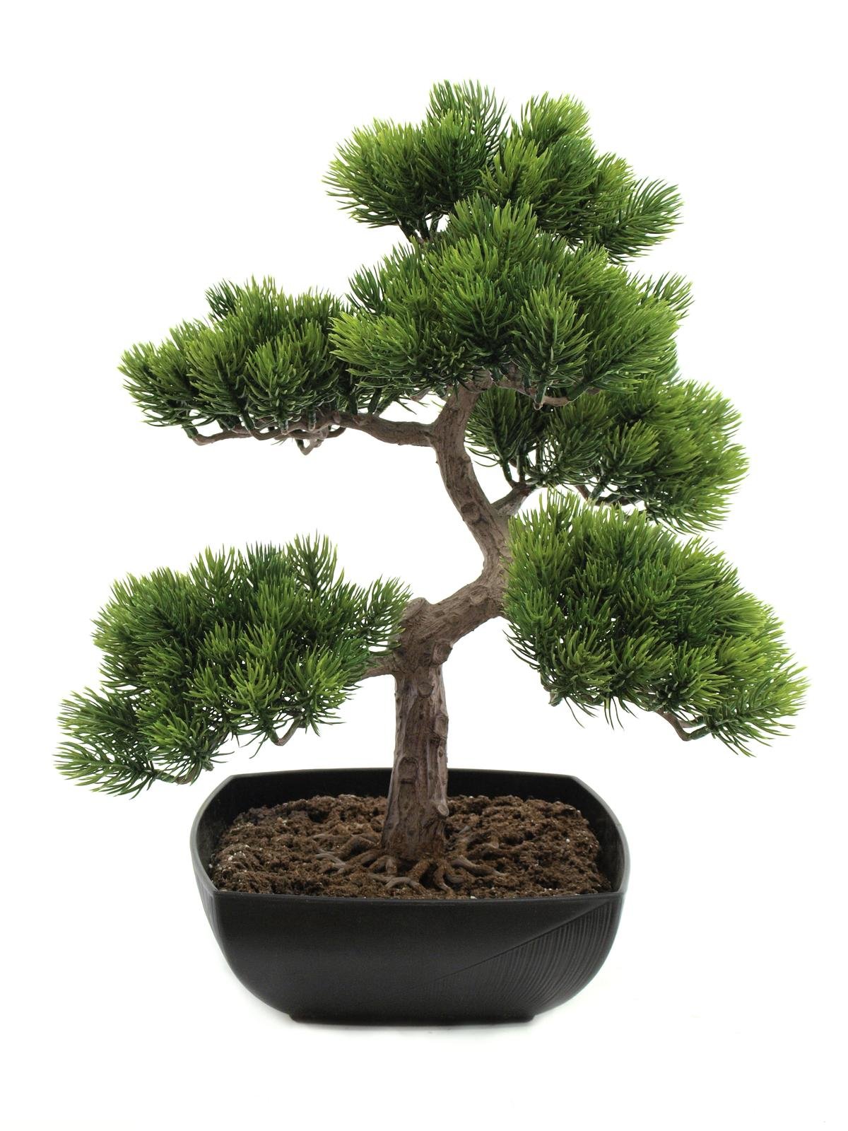 EUROPALMS Pine bonsai, artificial plant, 50cm