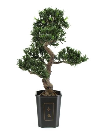 EUROPALMS Bonsai Podocarpus, artificial plant, 80cm