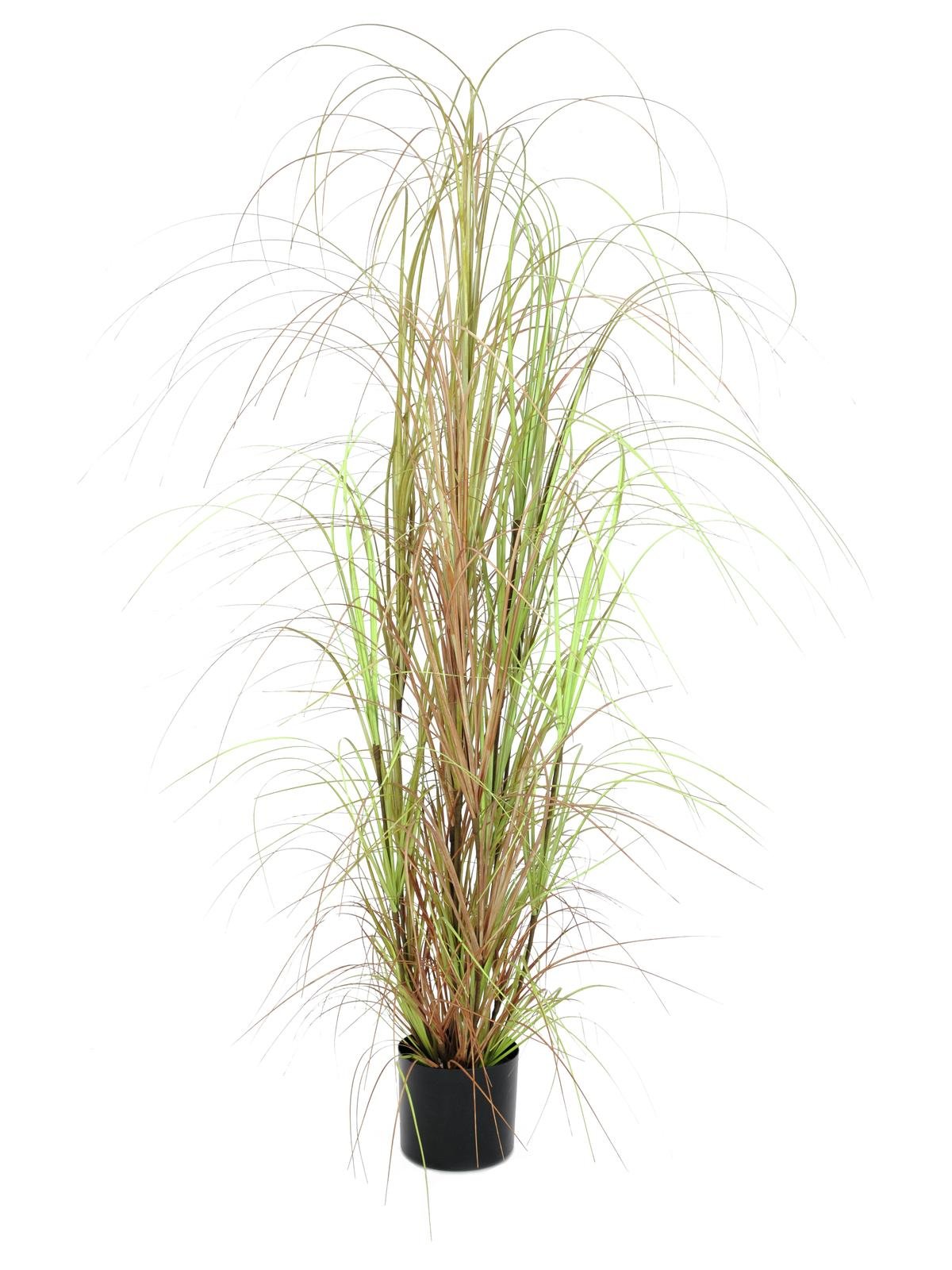 EUROPALMS Grass bush, artificial, 150cm