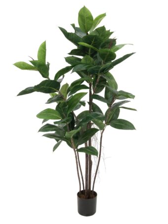 EUROPALMS Rubber Tree, artificial plant, 120cm