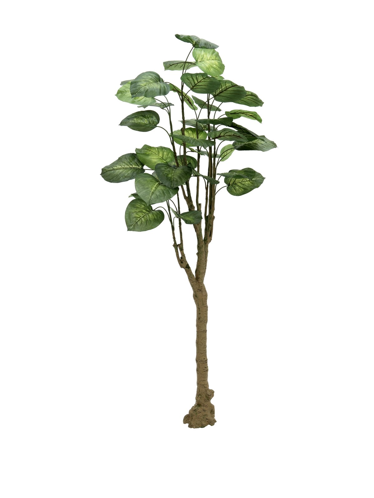 EUROPALMS Pothos tree, artificial plant, 175cm
