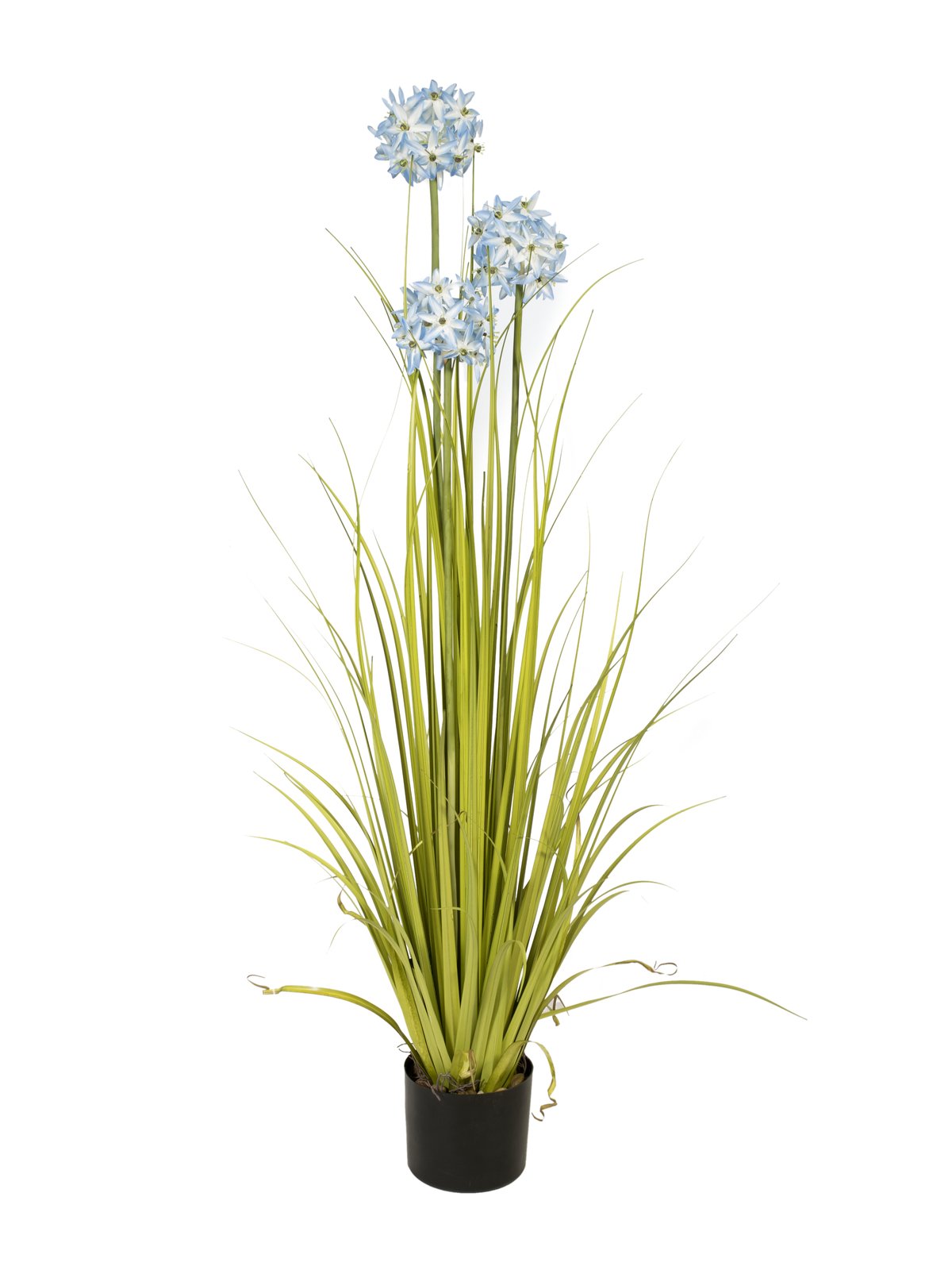 EUROPALMS Allium grass, artificial plant, blue, 120 cm