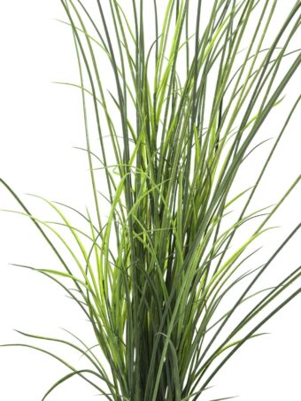EUROPALMS Reed (grass),  artificial, 145cm