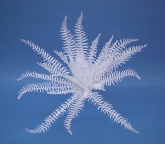 EUROPALMS White boston fern, artificial, 60cm