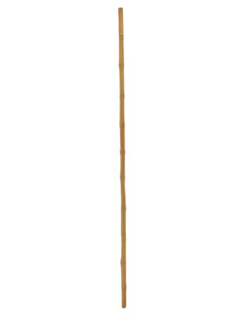 EUROPALMS Bamboo tube, Ø=3cm, 200cm