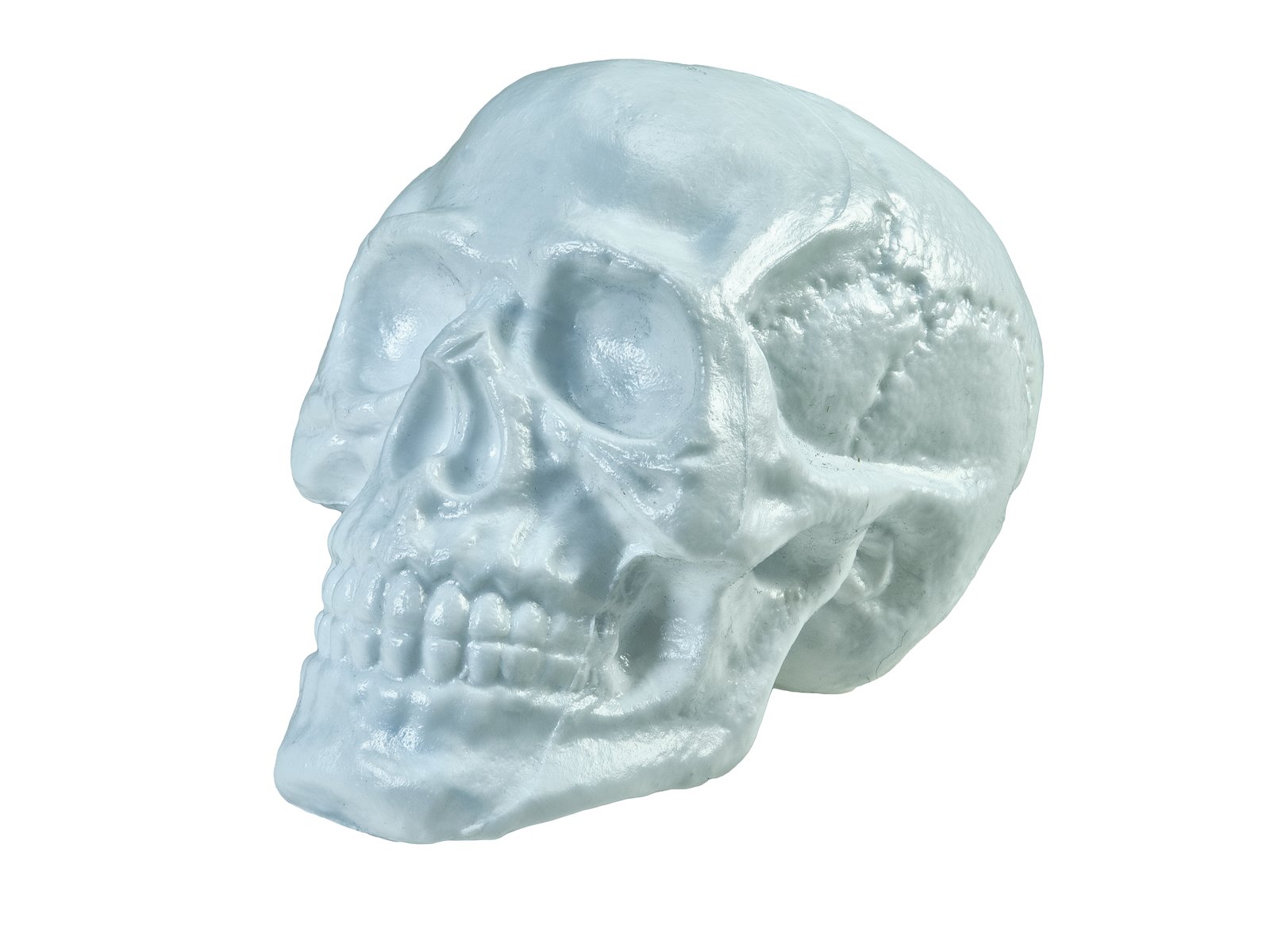 EUROPALMS Halloween Skull, 31x22x22cm