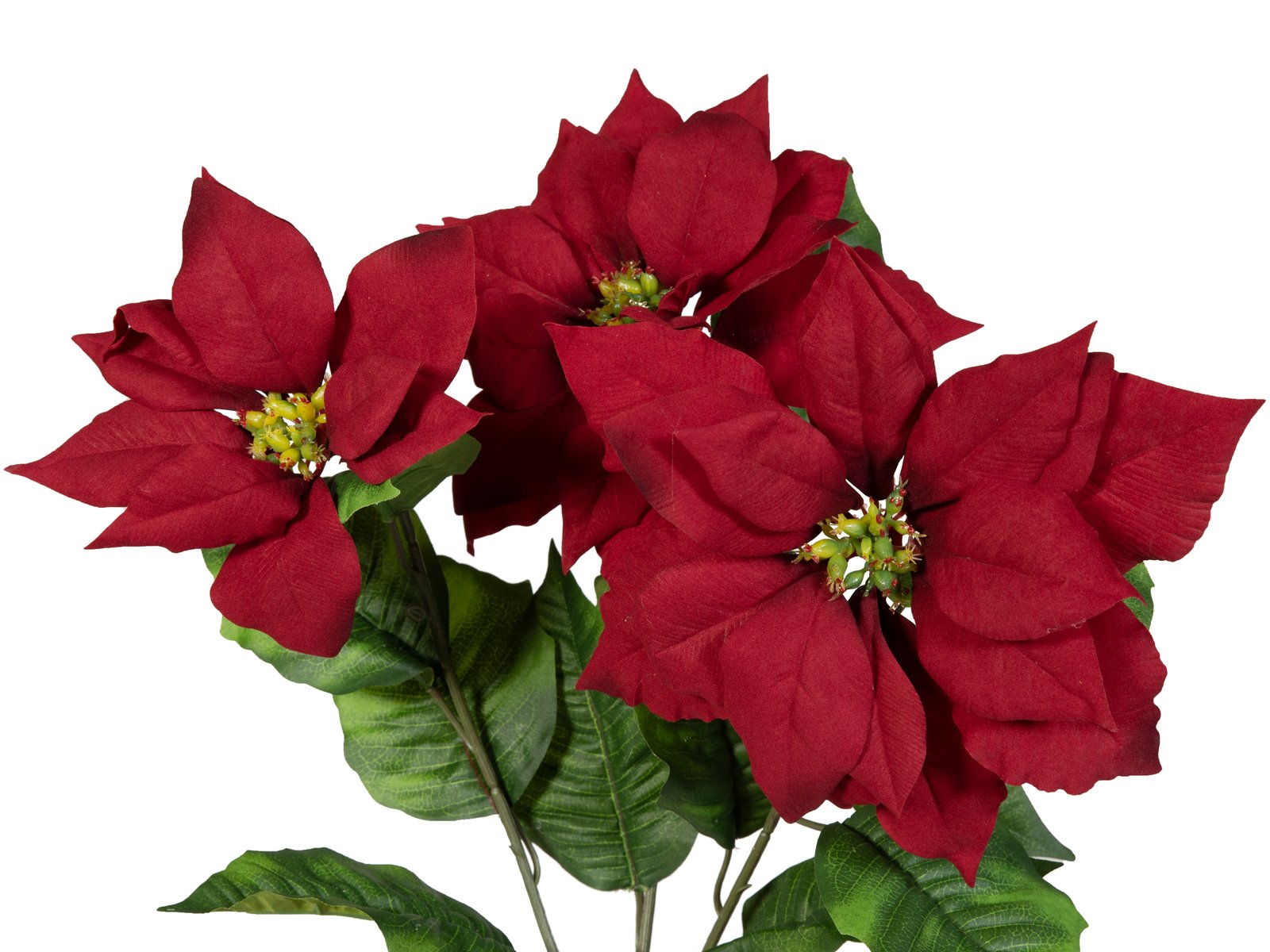 EUROPALMS Poinsettia Bush, red, 50cm