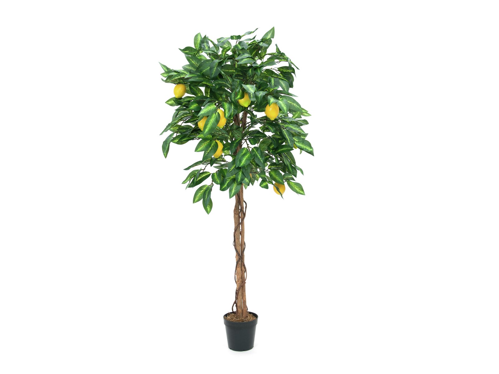 EUROPALMS Lemon Tree, artificial plant, 150cm - Afbeelding 4