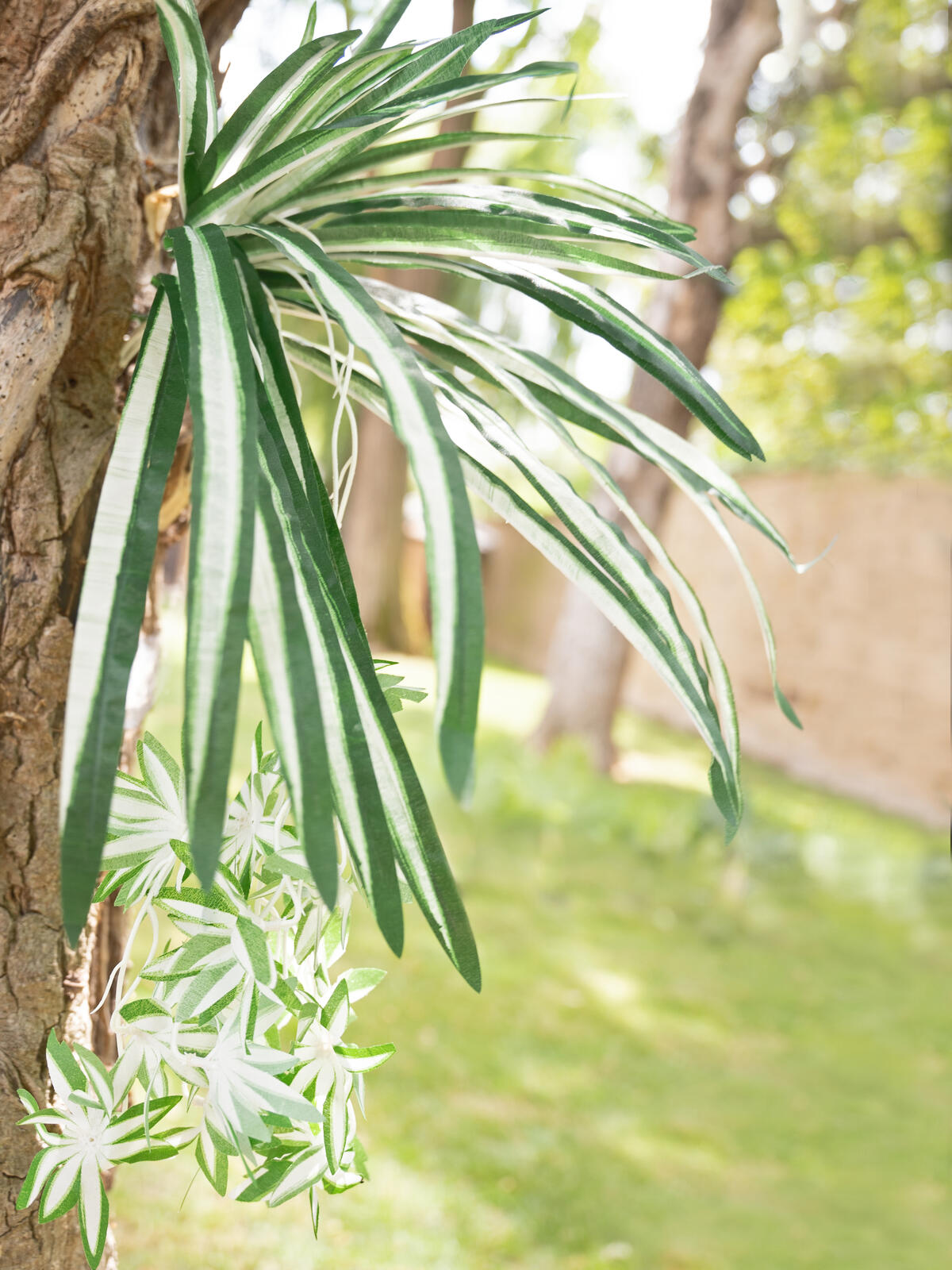 EUROPALMS Spider plant, artificial, 60cm - Afbeelding 3