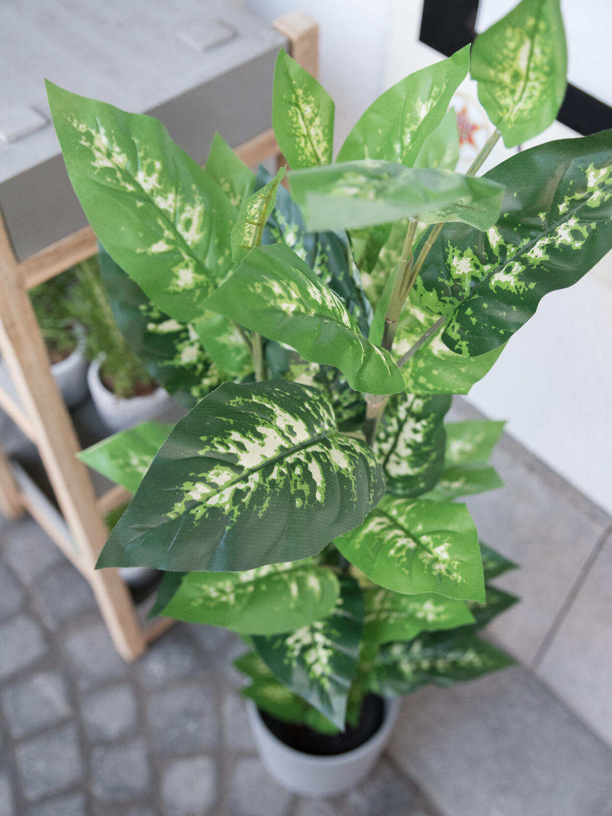 EUROPALMS Dieffenbachia, artificial, 120cm - Afbeelding 4