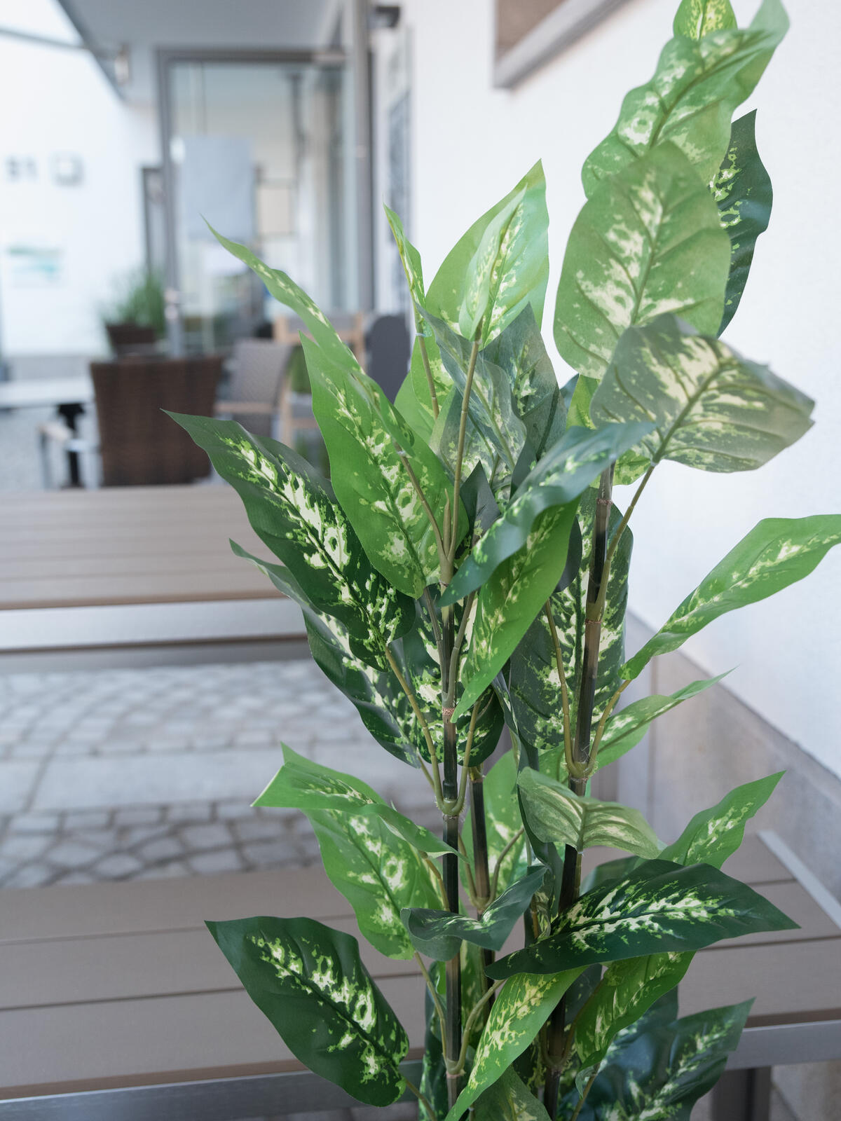 EUROPALMS Dieffenbachia, artificial, 120cm - Afbeelding 5