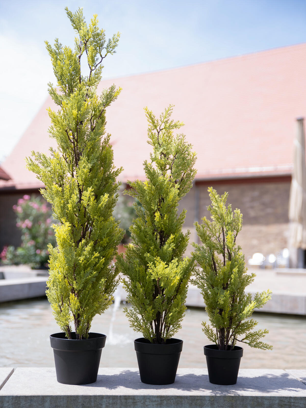 EUROPALMS Cypress, Leyland, artificial plant, 60cm - Afbeelding 4