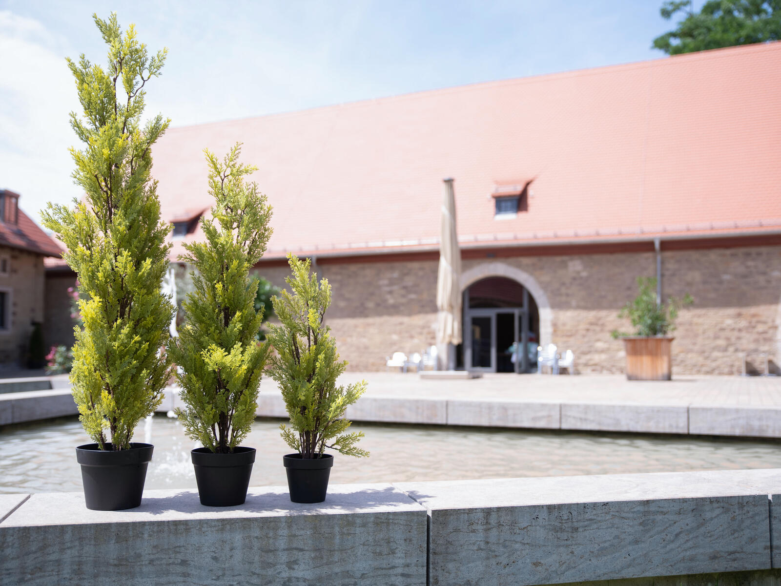 EUROPALMS Cypress, Leyland, artificial plant, 60cm - Afbeelding 5