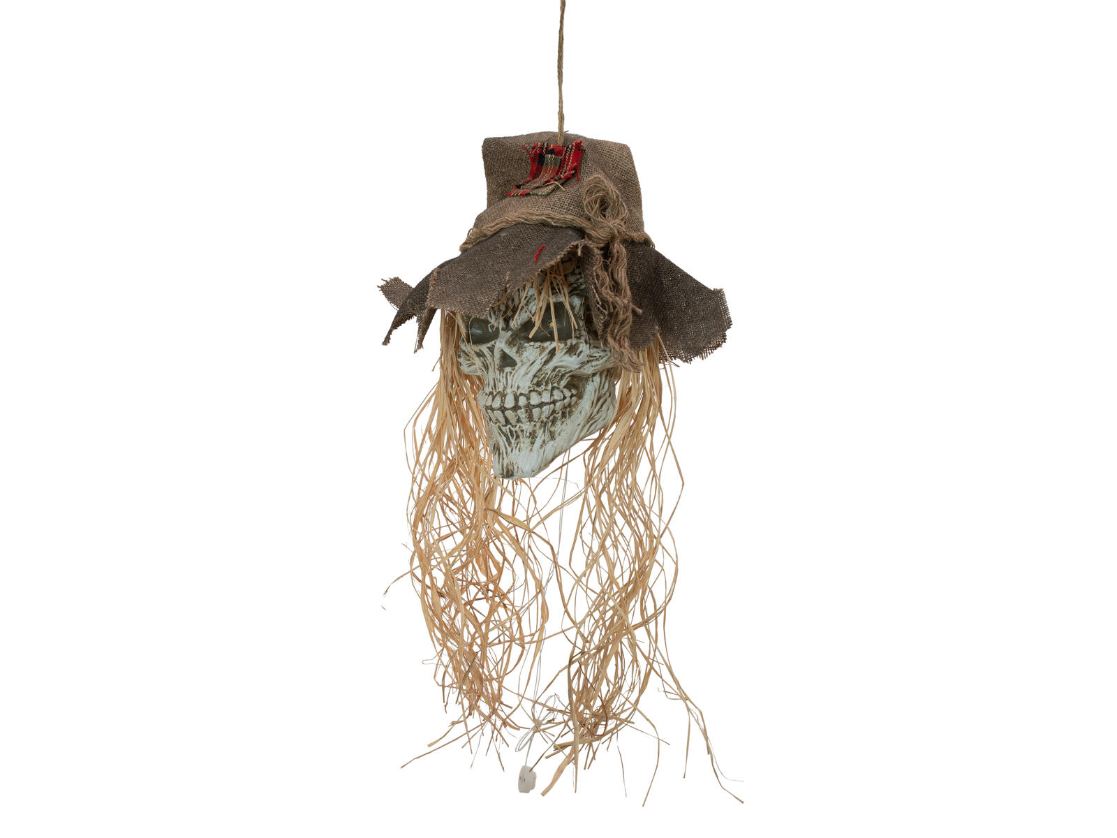 EUROPALMS Halloween Scarecrow Skull, 70cm